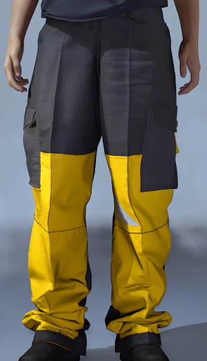 BAGGY BATTLE CARGOS.png